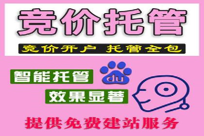 百度竞价推广公司案例：电商行业逆袭之路